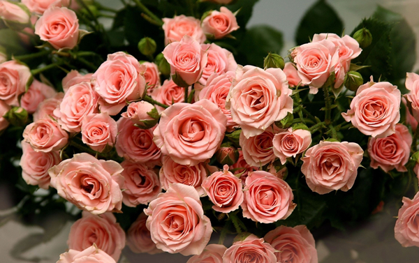 20140608115328_it3zP.jpg